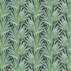 Tropic Rumba