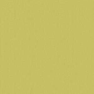 Arona Zest